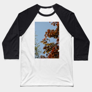 Autumnal Baseball T-Shirt